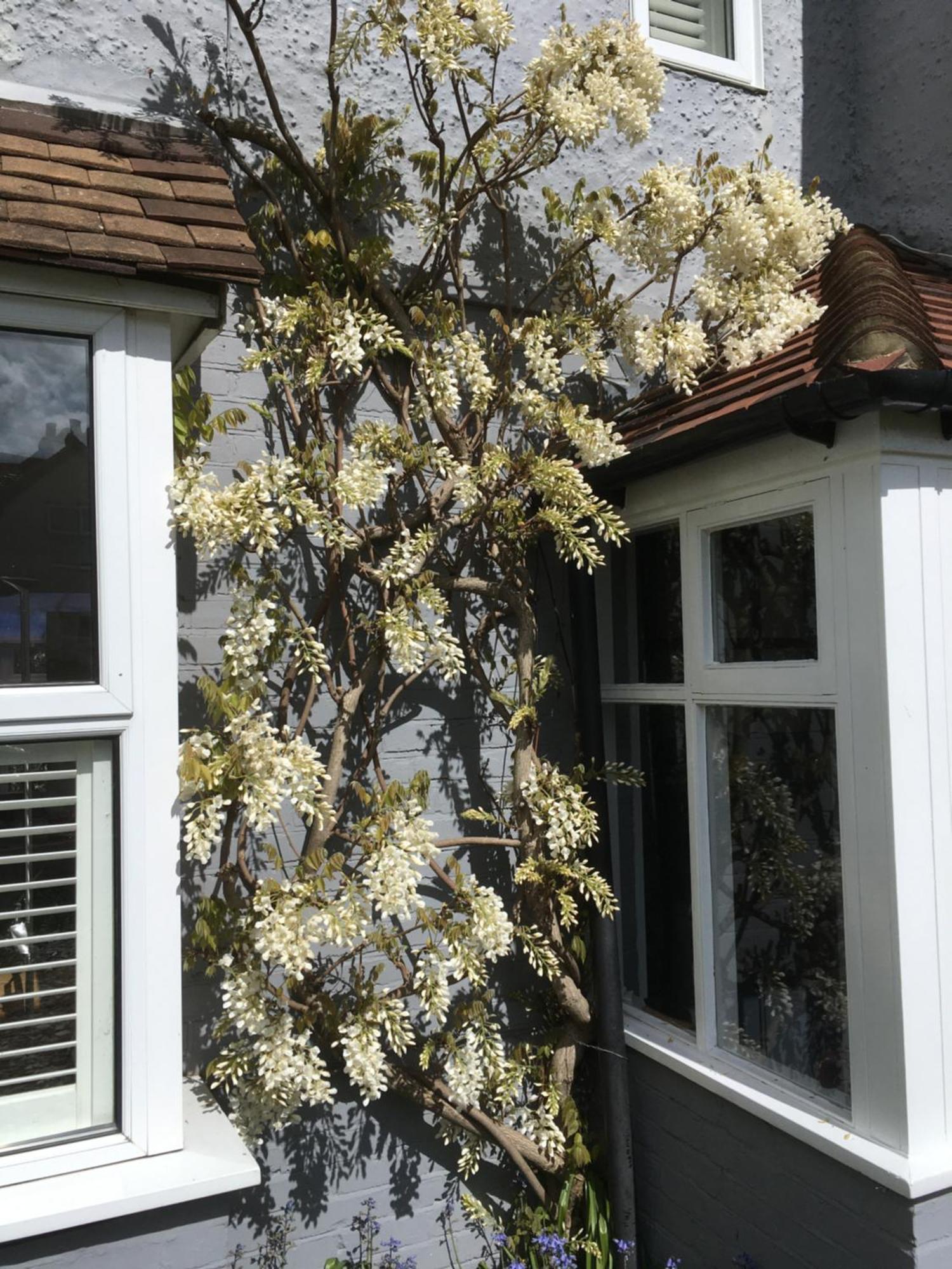 Rye Treat Apartment ภายนอก รูปภาพ